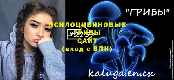 дурь Богородицк