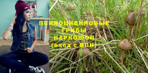 первитин Богородск